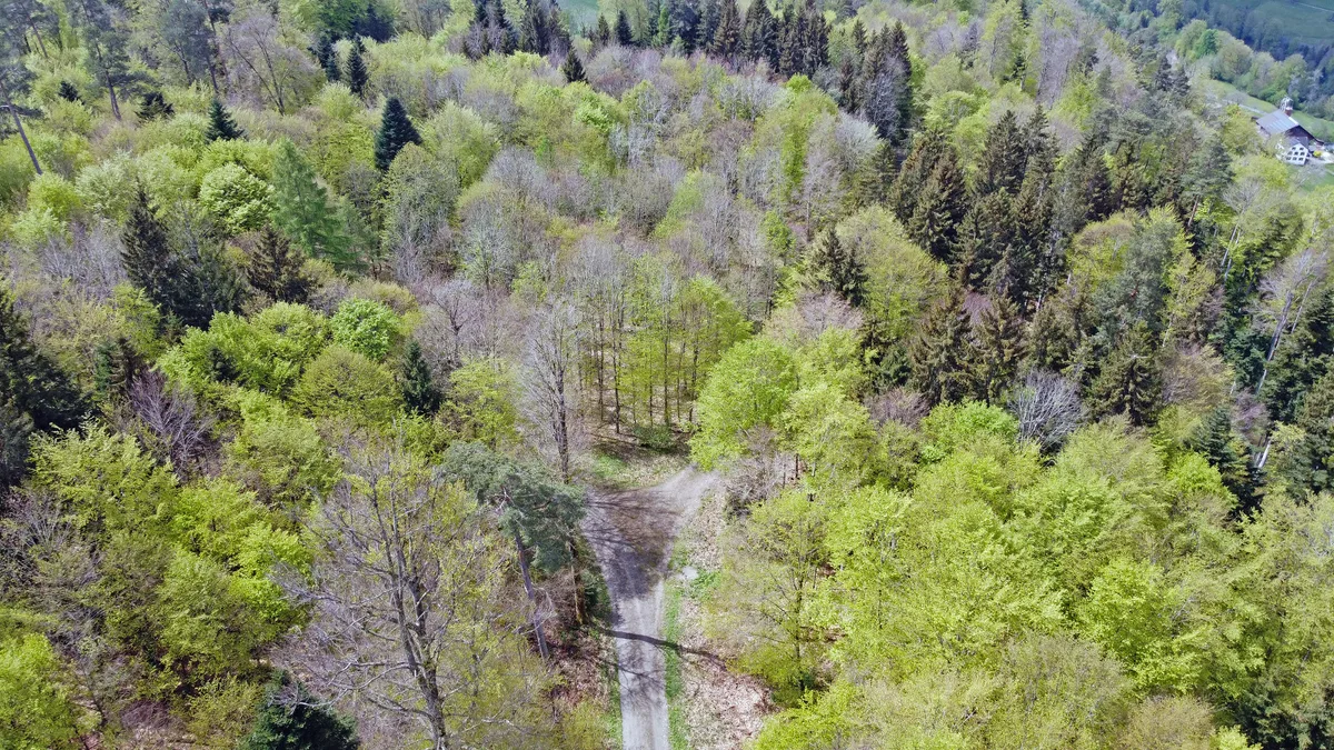 Hier könnte ein Windrad gebaut werden.